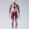 Figures Tamashii Nations | S.H.Figuarts Ultraman (Shin Ultraman) [Re-Release]