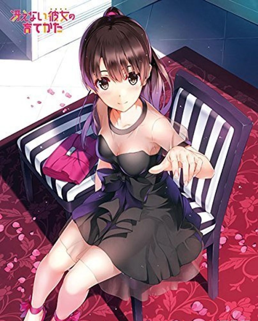 Lifestyle Goods Cospa | Axia Canvas Art Series No. 037 Saenai Hiroin No Sodatekata Kato Megumi Original Edition Part. 2