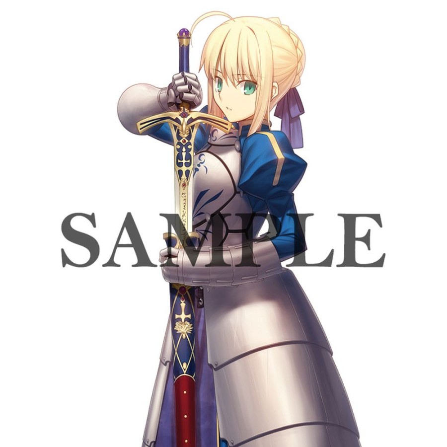 Lifestyle Goods KADOKAWA | Takashi Takeuchi Illustration B2 Tapestry Saber